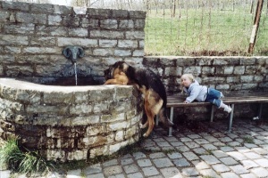 Ein Brunnen
 bei Igensdorf, der Zweibeiner wie Vierbeiner zur Rast einldt.: Magnus
 Zawodsky/NZ